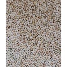 1 KG