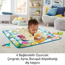 Fisher Price Havuz Keyfi Oyun Minderi   Grr44