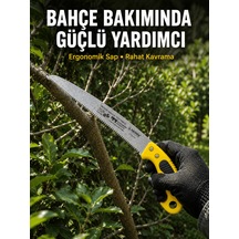 Standart