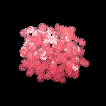 Epoksi Süsleme Pulu - Fosforlu Pembe Çiçek