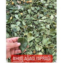 Aktar Marka Huş Ağacı Yaprağı 50 G