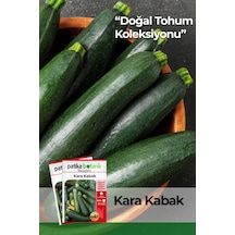 20 Adet Yerli Ata Kolsuz Kara Kabak Tohumu