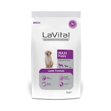 Vital Kuzulu Büyük Irk Yavru Köpek Maması 3kg