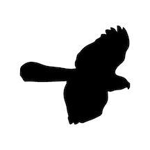 Uçan Kuş Sticker Yapıştırma 15Cm
