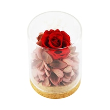 Reedark "özel Günler İçin Kalıcı Gül - Dekoratif Ve Kokulu Cam Kutu İçinde Gerçek Korunmuş Gül Çiçeği"