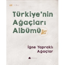 İğne Yapraklı Ağaçlar-Türkiye'nin Ağaçları Albümü - Işıl Erverdi - Kumdan Kale