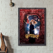 Wizarding World Harry Potter Poster - Hogwarts Karakter. Hermione