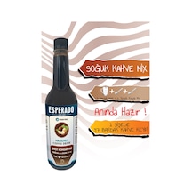 Çabuk Kahve Fındık Aromalı Soğuk/sıcak Kahve 750 Ml Diğer