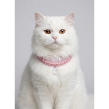 Pembe El Örgüsü Makrome Kedi Tasması 27 Cm - Ay Figürlü Charm Şık Kedi Boyun Tasması