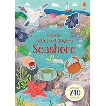 Little First Stickers Seashore - Little First Stickers 9781474968225