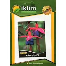 Küpe Çiçeği Tohumu Takribi 50 Adet Tohum N112871