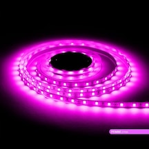 Led Şerit Bant 5 Metre 5050 Smd 12v Pembe Renkli 60 Led/m Ip20 Işık Aydınlatma Kendinden Yapışkanlı