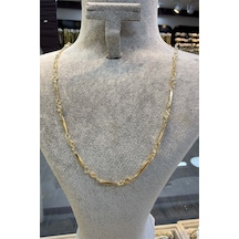 Taşlı Gold Vip Çelik Kolye 45 Cm Altın