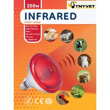 Isıtıcı Ampul Lamba Kırmızı 250 Watt / 2 Adet