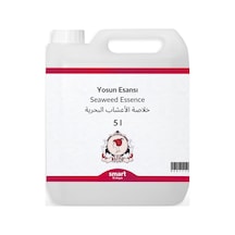 Yosun Esansı 5 Litre