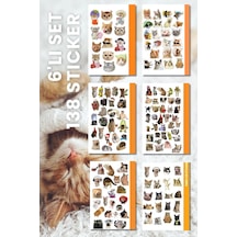 6'lı Kedi Sticker, Çıkartma 1