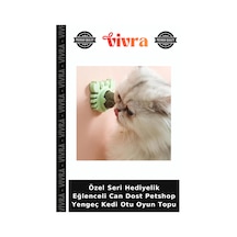 Özel Seri Hediyelik Eğlenceli Can Dost Petshop Yengeç Kedi Otu Oyun Topu
