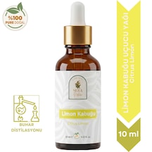 10 ML