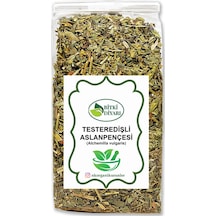 Testeredişli Aslanpençesi Alchemilla Vulgaris 25gr