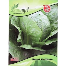 Sunagri Yedikule Marul Tohumu