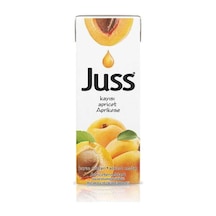 Kayısı Nektarı 200 Ml