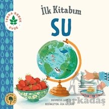 İlk Kitabım Su Omurgam Yeşil Yayınevi