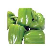 Yerli Ata Tohumu Dolma Biber 100 Adet