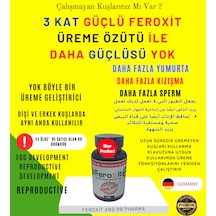 Feroxit Special Series Üreme Daha İyisi Yok Çok Güçlü Kızıştırıcı 100 G