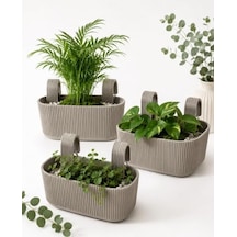 Pera Modern Balkon Ve Küpeşte Saksısı 3,2 Litre Krem Plastik Askılı Dikdörtgen 3'lü Set