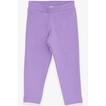 Breeze Kız Çocuk Tayt Basic 2-6 Yaş, Lila