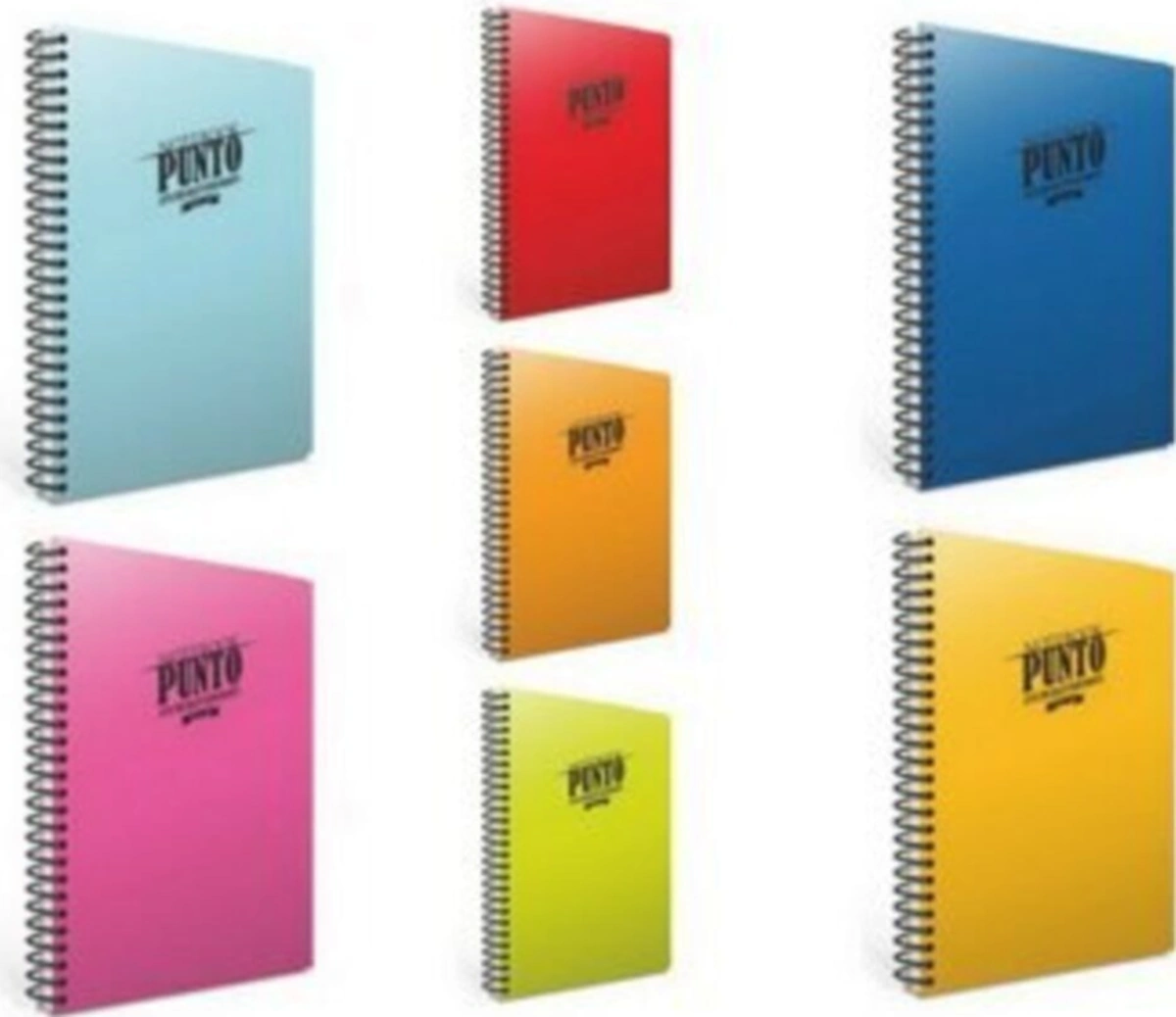 Spiralli Defter Punto Plastik Kapak Kareli 120 Yaprak A4 3-6539 6 Lı Paket Karışık