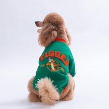 Yeşil Tigger Grove Köpek Sweatshirt Köpek Sweat Köpek Kıyafeti Kedi Kıyafeti