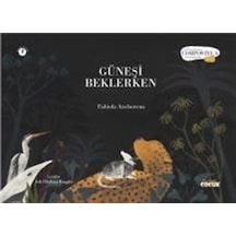 Güneşi Beklerken / Fabiola Anchorena