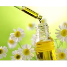 Papatya Yağı 20 ML