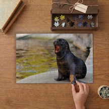 Esneyen Deniz Aslanı Yavrusu Tasarımı 240 Parça Ahşap Puzzle Ahşap Kutuda Mpy60122