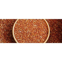 Yeni Yavru İçin Kızıl Dal Darı Taneleri Elenmiş 1 KG