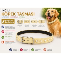 İncili Köpek Boyun Tasması 24-34 Cm Küçük Irk Ayarlanabilir Metal Tokalı D Halkalı - Krem Çok Renkli