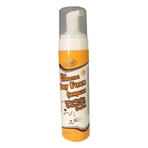 Biyoteknik Dry Foam Şampuan 250 ML