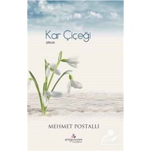 Kar Çiçeği - Şiirler - Mehmet Postallı - Erguvan Yayınları