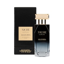 Niche Exclusive Allegria Erkek Parfüm EDP 100 ML
