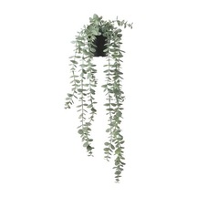 Yapay Bitki Okaliptüs Bitkisi 9 Cm İç/Dış Mekan,Sarkıt Bitki ,Yeşil