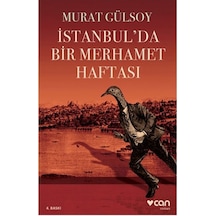Istanbul Da Bir Merhamet Haftası Murat G Can Sanat Yayınları