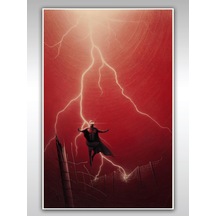 X-Men Poster 40x60cm Magneto Afiş - Kalın Poster Kağıdı Dijital Baskı