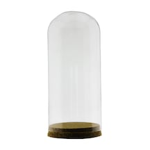 20x9cm Cam Tüp Fanus Terrarium Şişe