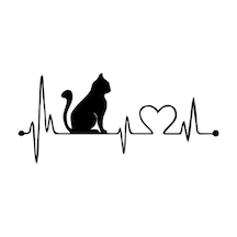 Kalp Kedi Araba Sticker Yapıştırma