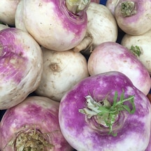 Şalgam Turpu Turnip Tohumu 10 GR Paket
