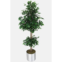 Yapay Çiçek Deposu Gri Metal Saksıda Yapay Benjamin Ağacı Ficus Benjamina 180 Cm Yeşil