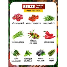 10 Çeşit Sebze Tohum Paketi 1000 Tohum