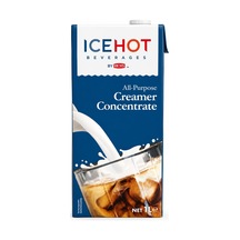 Richs İcehot Creamer Concentrate Barist 1 Kg