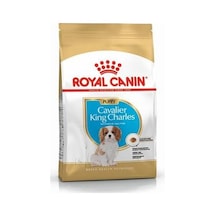 Cavalier King Charles Puppy Yavru Köpek Maması 1,5 Kg